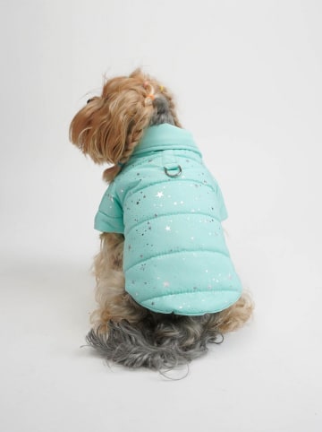 Hundehoodie in Türkis