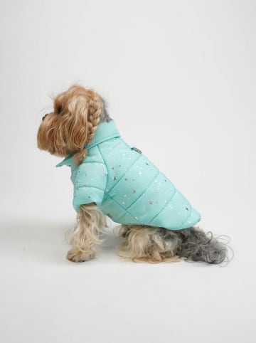 Hundehoodie in Türkis