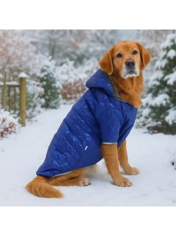 Hundehoodie in Blau