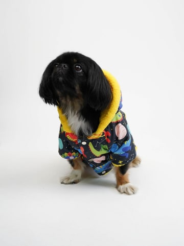 Hundehoodie in Bunt