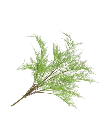 Dekoracyjna gałązka "Fern Asparagus" w kolorze zielono-brązowym - wys. 77 cm