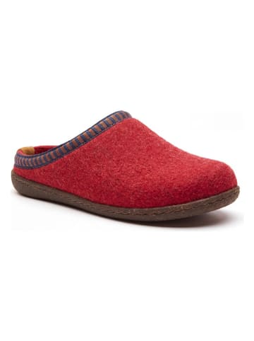 Woll-Hausschuhe "Scoti" in Rot