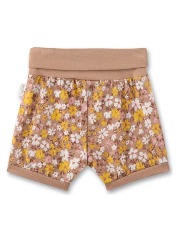 Shorts in Hellbraun