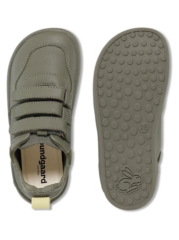 Leren sneakers "Coda" kaki