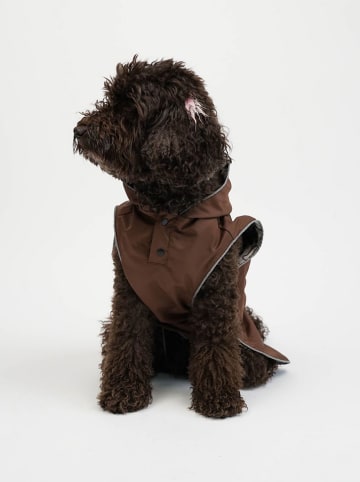 Hundehoodie in Braun