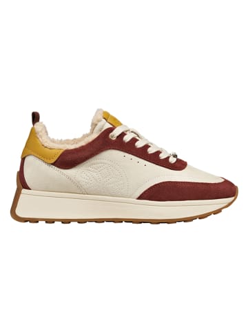Skórzane sneakersy "Amabel" w kolorze kremowo-jasnobrązowym