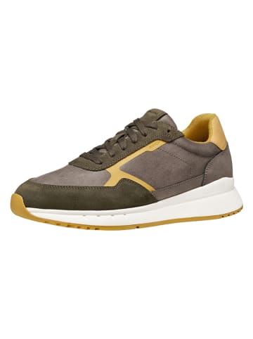 Sneakers "Branthon" in Khaki/ Hellbraun