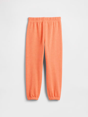 Sweathose in Orange