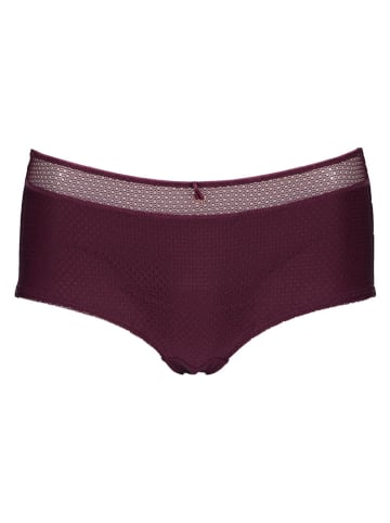 Panty in Bordeaux
