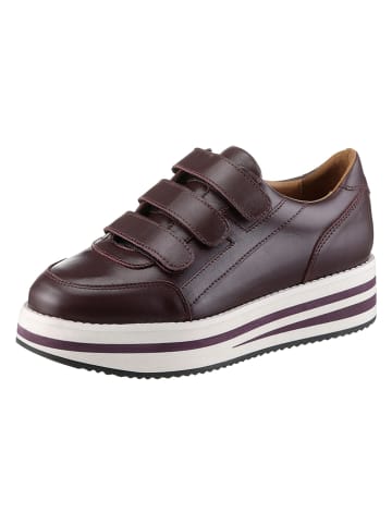 Leren sneakers bordeaux