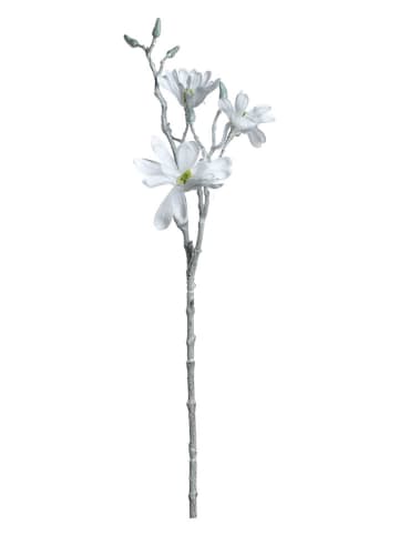 Sztuczna roślina "Palazzo" w kolorze białym - dł. 60 cm