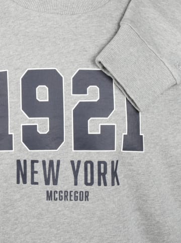Sweatshirt in Grau
