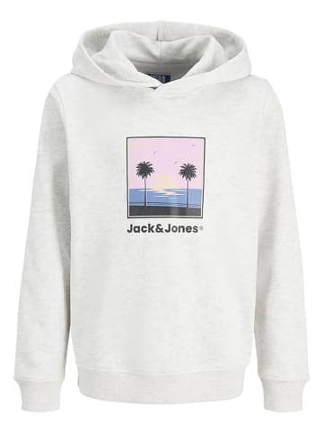 Hoodie "Perry" in Grau