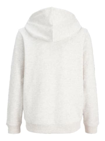 Hoodie "Perry" in Grau