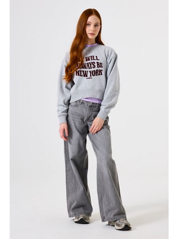 Sweatshirt in Grau