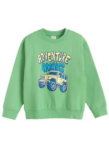 Bluza w kolorze zielonym
