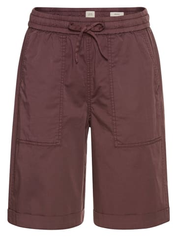 Bermudas in Braun