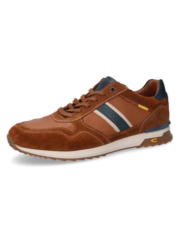 Skórzane sneakersy w kolorze jasnobrązowo-granatowym
