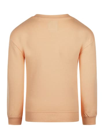 Sweatshirt oranje