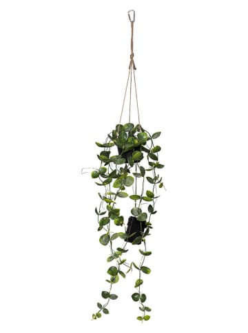 LED-Dekoleuchte "Laos'' in Grün - (H)65 x Ø 10 cm