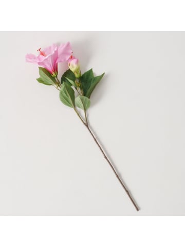 Dekozweig ''Hibiskus (Hibiscus)'' in Grün/ Pink - (L)64 cm