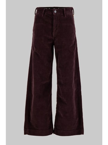 Chinobroek rood