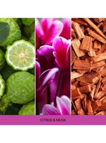 Duftanhänger ''Cesare - Citrus & Musk'' in Pink