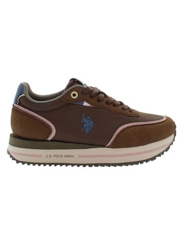 Sneakersy w kolorze brązowym