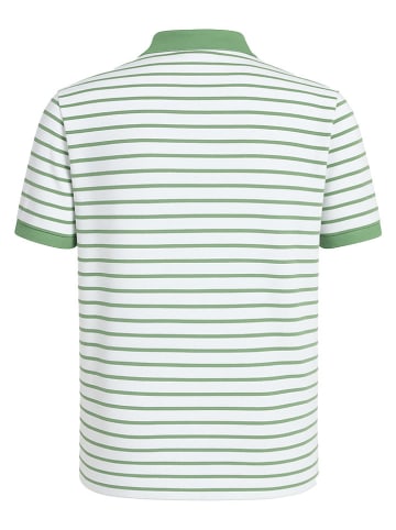 Koszulka polo w kolorze zielono-białym