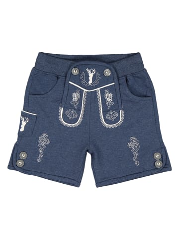 Shorts in Dunkelblau