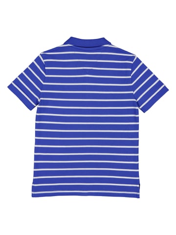 Koszulka polo w kolorze niebiesko-białym