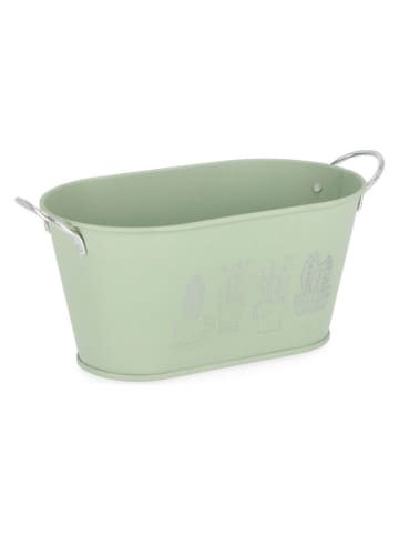 Blumentopf "Botany" in Grün - (B)22,5 x (H)10,5 x (T)13 cm