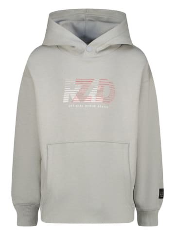 Hoodie "Naizy" grijs