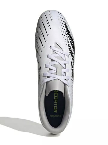 Voetbalschoenen met noppen "Predator Accuracy 4 FxG" grijs