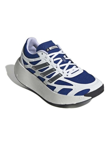 Sneakers "Adizero Aruku" wit