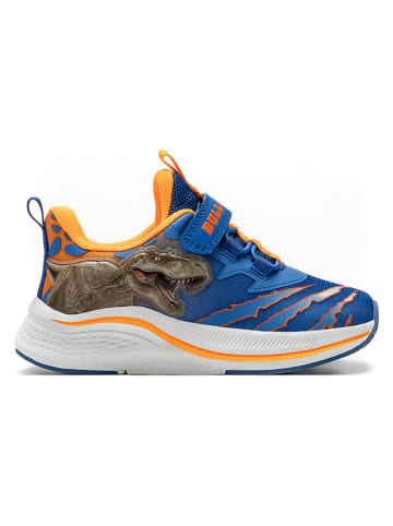 Sneakers "Hunting Rex" in Blau/ Orange