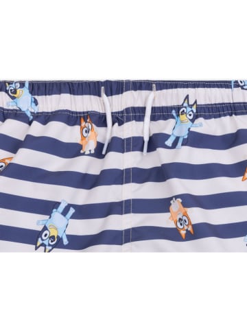 Szorty kąpielowe "Bluey" w kolorze niebiesko-białym