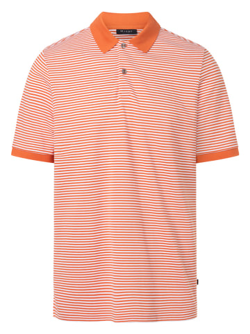 Poloshirt in Orange/ Weiß