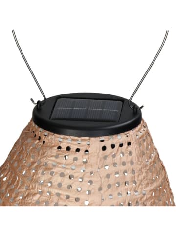 LED-Solar-Laterne in Beige - (H)45 x Ø 20 cm
