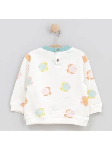 Sweatshirt crème