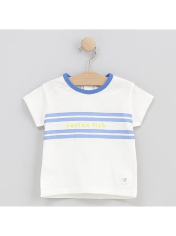 Shirt wit