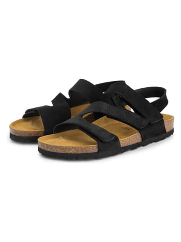 Leder-Sandalen "Harvik" in Schwarz