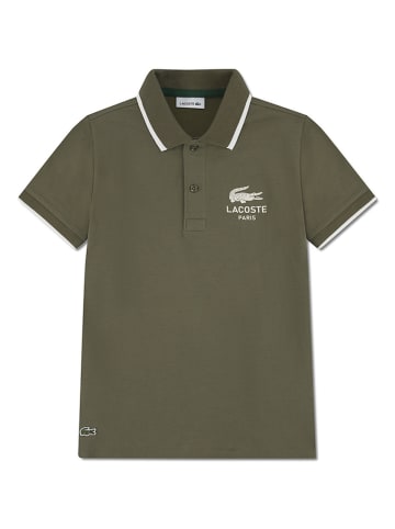Koszulka polo w kolorze khaki