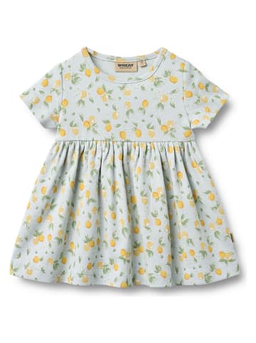 Kleid "Nova" in Hellblau