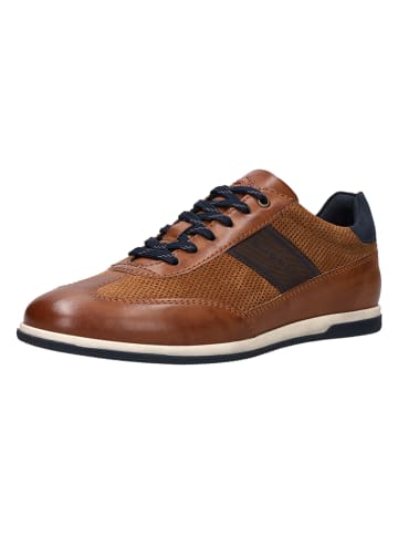 Sneakers "Titon" lichtbruin