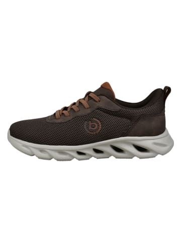 Sneakersy "Caraway" w kolorze brązowym