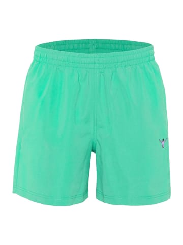 Badeshorts in Türkis