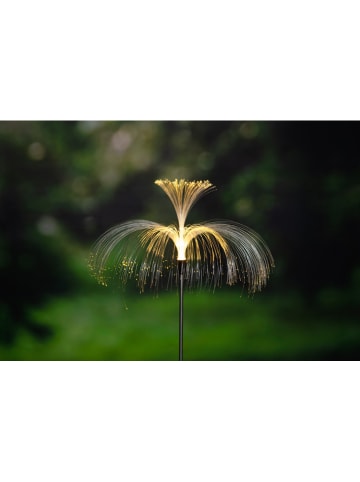 Solar-Gartenstecker in Weiß - (H)37 cm