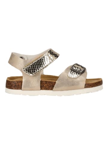 Sandalen "Avila" in Gold