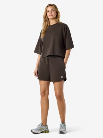 Short bruin